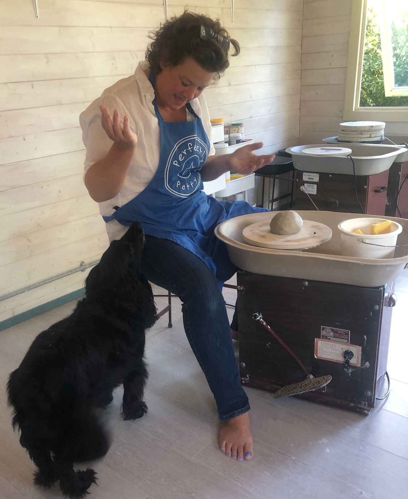 Dog watching pottery being thrown on the wheel